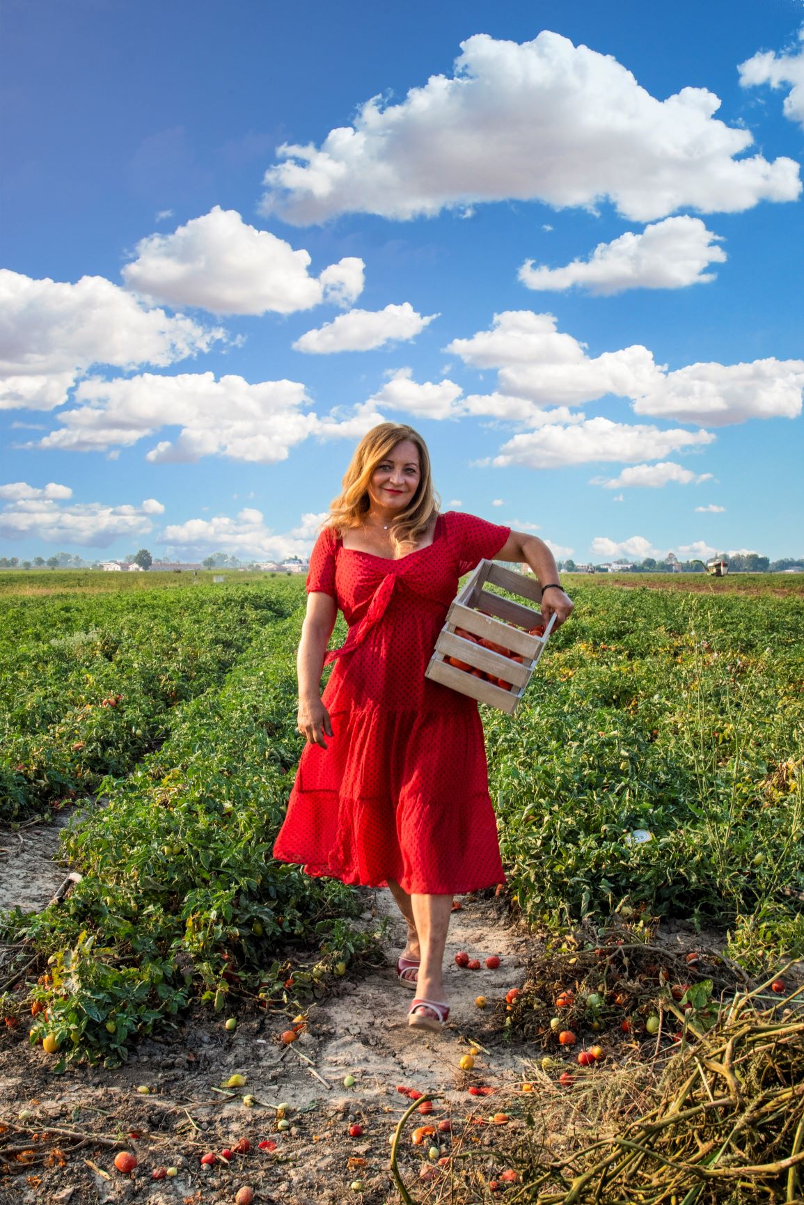 Wie meine Tomatensauce Salsa Paradiso entstanden ist