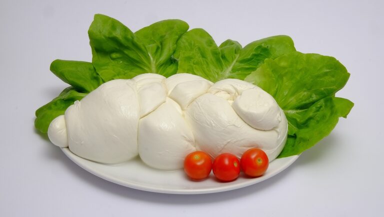 Büffelmozzarella Zopf - Treccia di Bufala - hermina-tomatensauce