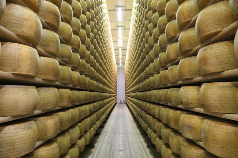 Parmigiano-Reggiano-Lager-in-Italien-Emilia-Romagna